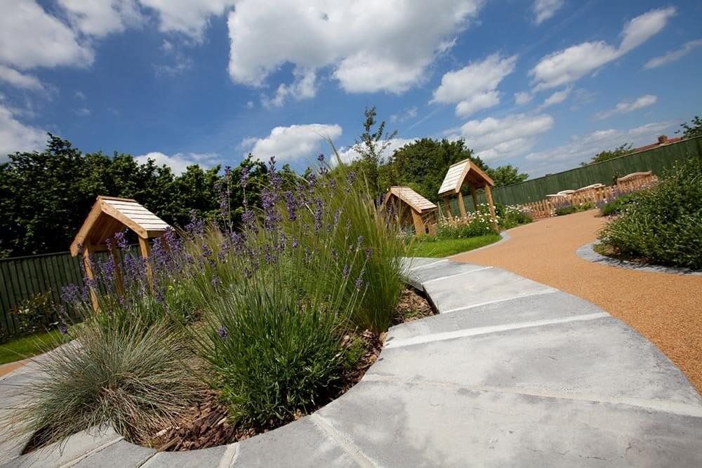 Image of the gardens of a care home, with lavender bushes in bloom