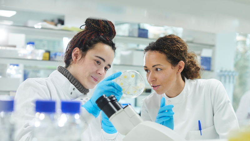 Image of two women working in a lab, looking at a petri dish