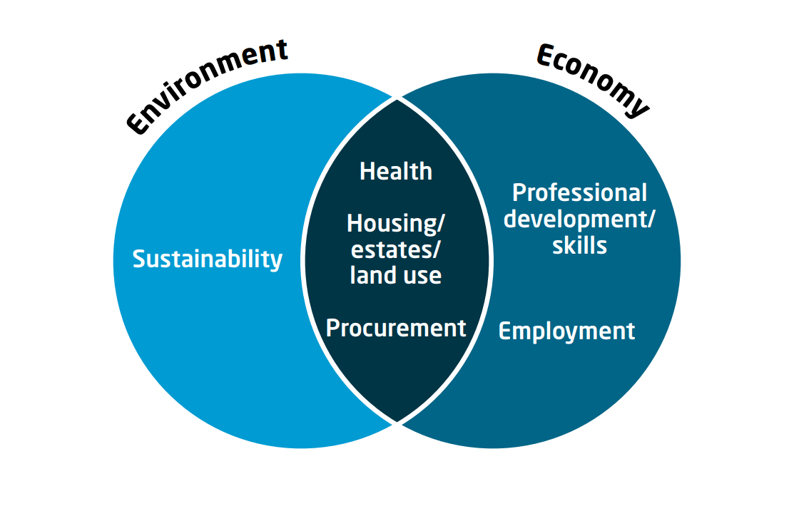 Figure 1 The key areas of interest for anchor institutions in the health and social care sector; Environment; Economy; Sustainability; Professional development/skills; Employment; Health; Housing/estates/land use; Procurement