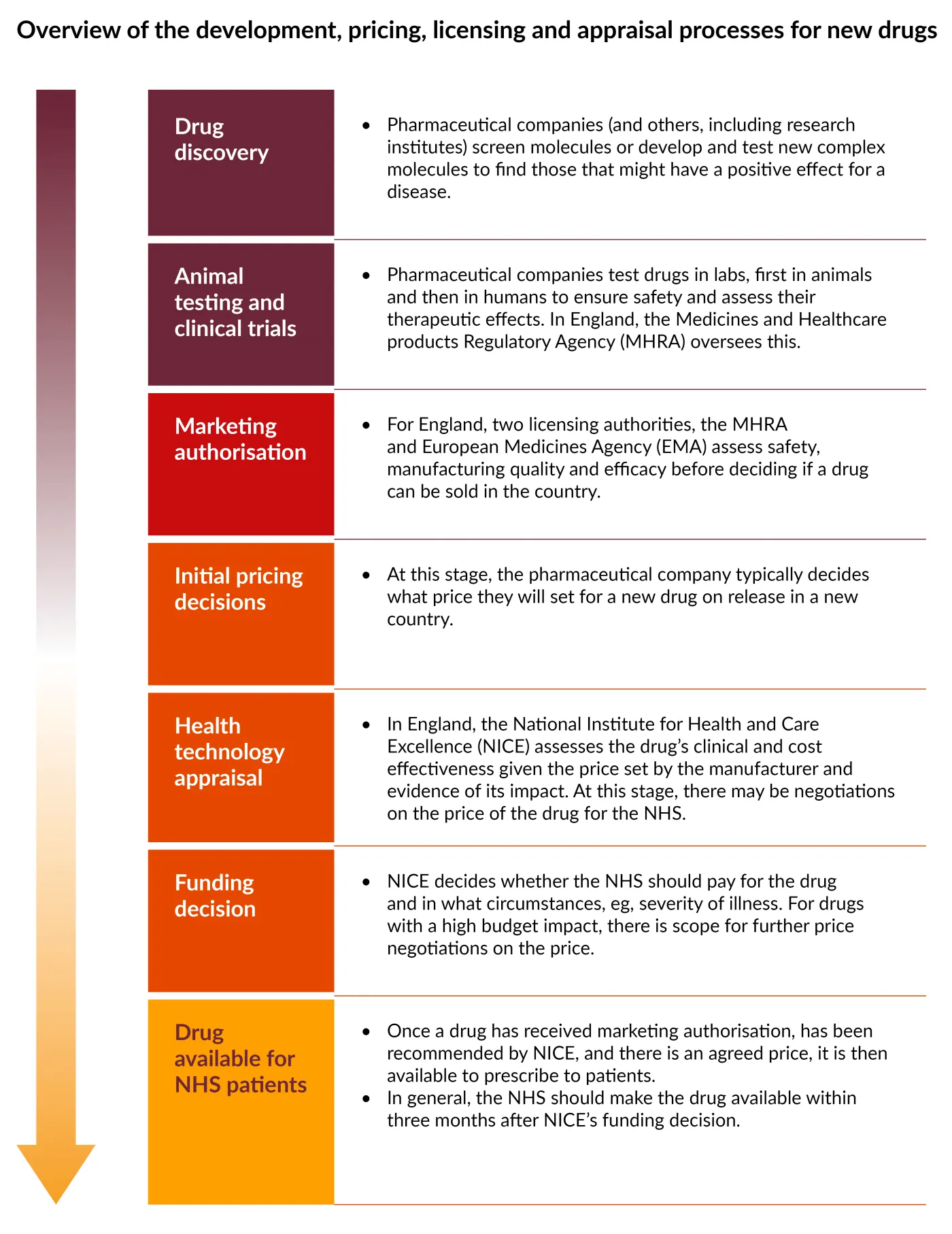 A graphic showing  overview of development, pricing, licensing and appraisal processes for new drugs