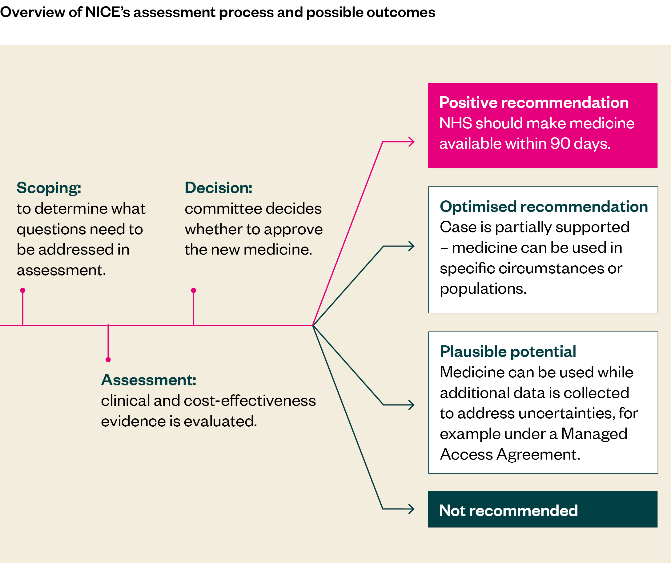 A flow diagram giving an overview of NICE's assessment process and possible outcomes. The process starts with scoping, followed by assessment and a decision. It either makes a positive recommendation, an optimised recommendation, a decision of plausible potential, or decides it is not recommended.