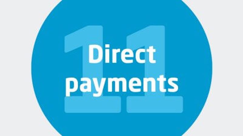 11. Direct payments