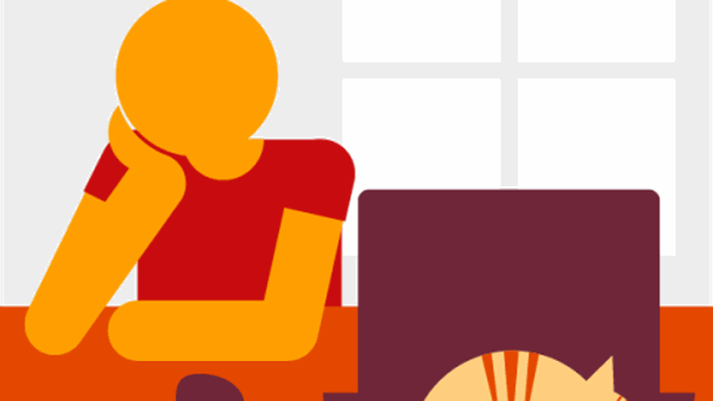 Person sitting with a cat and a computer