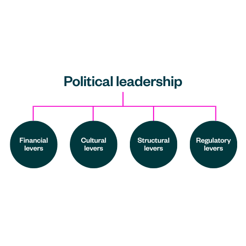 Image showing the four levers political leadership can pull - financial, cultural, structural and regulatory