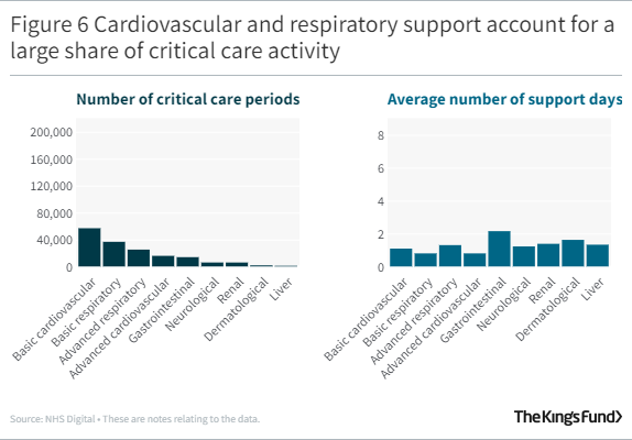 A graph showing Cardiovascular and respiratory support account for a large share of critical care activity