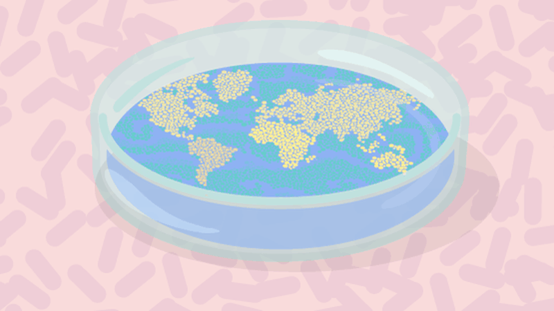 An illustration of a large petri dish. Inside the contents are arranged to represent the map of the world