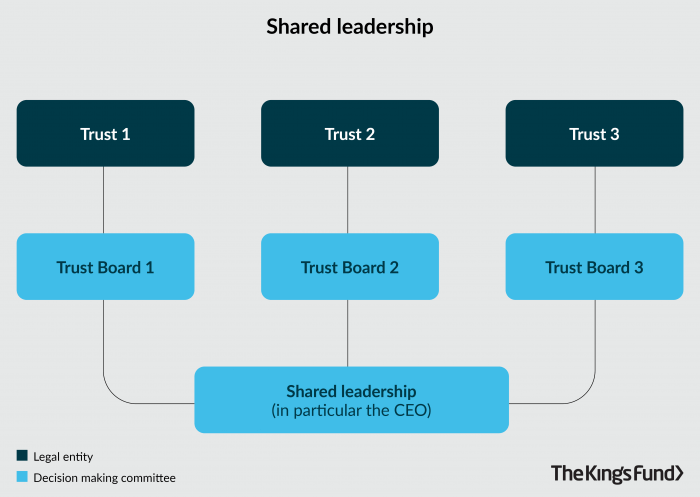An org chart showing leadership in NHS trusts