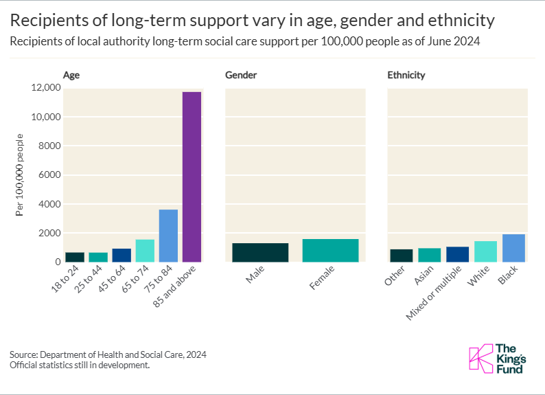 A chart showing how recipients of long-term support vary in age, gender and ethnicity.