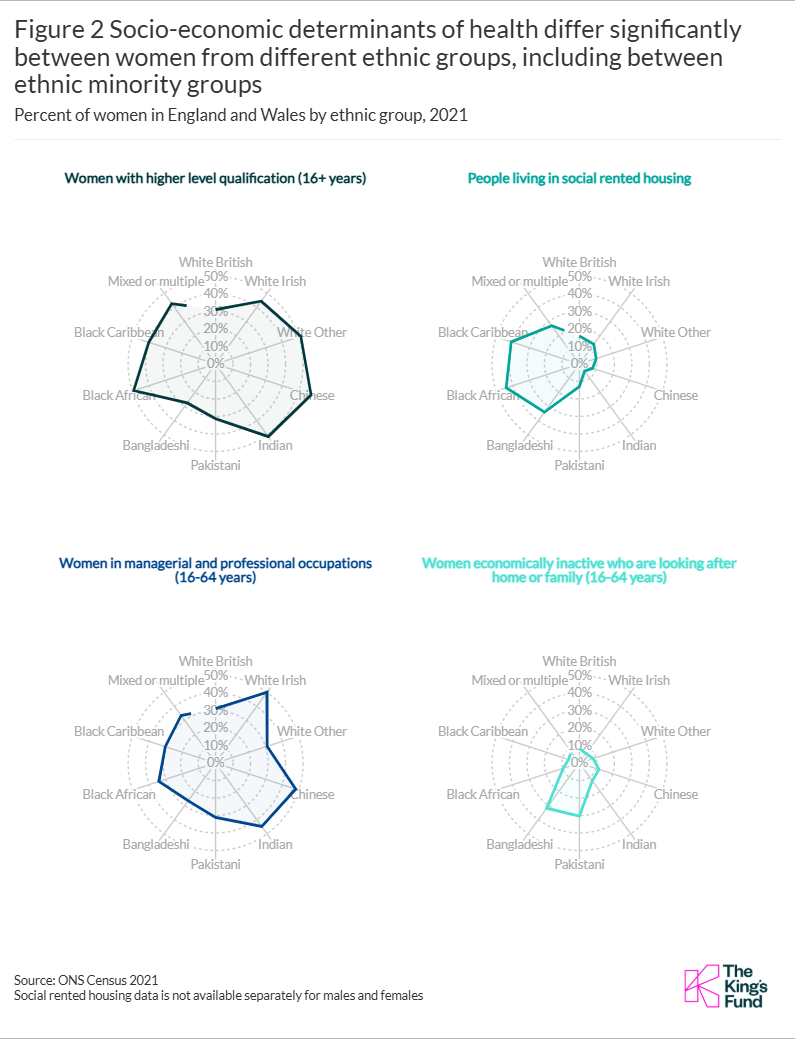 Figure 2 Socio-economic determinants of health differ significantly between women from different ethnic groups, including between ethnic minority groups