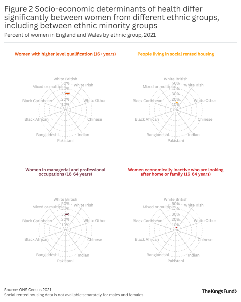 Figure 2 Socio-economic determinants of health differ significantly between women from different ethnic groups, including between ethnic minority groups