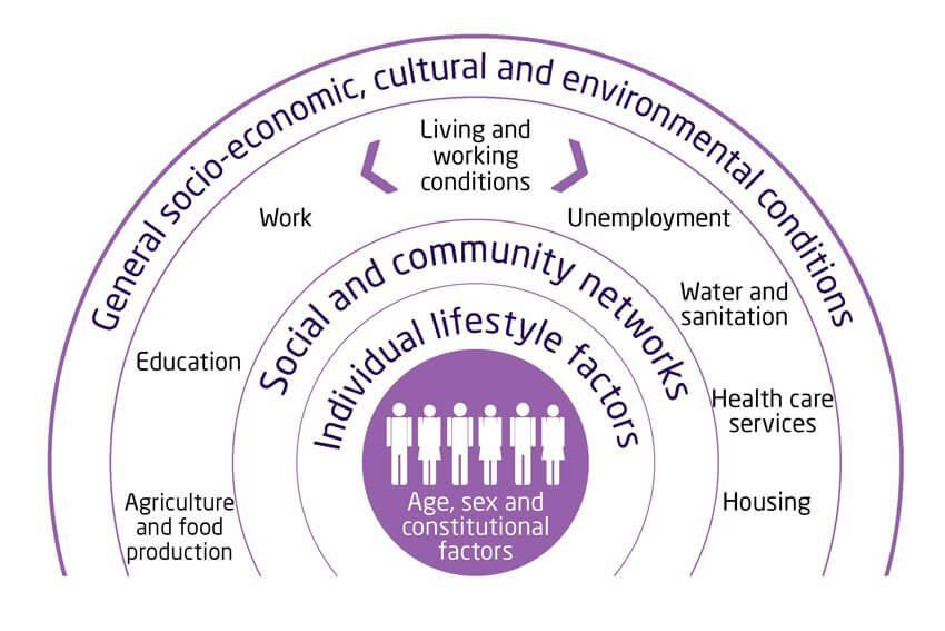 Chart showing how health is dependant on our genes, our lifestyles, environment and health care